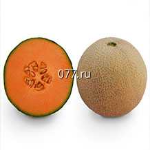 семена дыни Канталупа Желтая