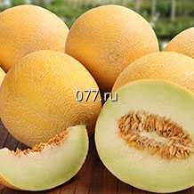 семена дыни Канареечная Медовая