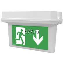 светильник аварийного освещения эвакуационный 