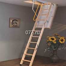 лестница чердачная (мансардная) Факро (FAKRO), Велюкс (VELUX), Рото (ROTO)