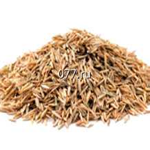 семена травы газонной