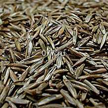 семена травы газонной