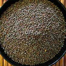 семена горчицы салатная Прима (Гавриш)