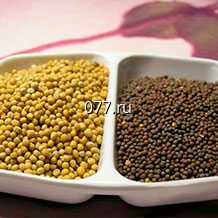 семена горчицы листовая Бутербродная (СеДек)