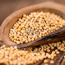 семена горчицы листовая Красный гигант (Аэлита)