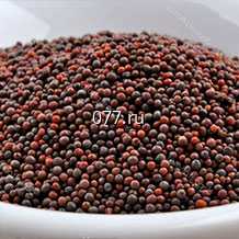 семена горчицы салатная Аппетитная (Гавриш)