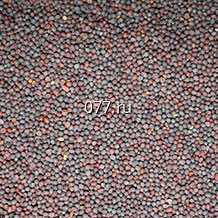 семена горчицы салатная Старый лекарь (Аэлита)