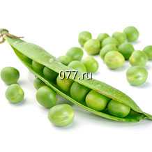 семена гороха Усатый кормовой