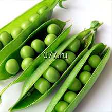 семена гороха Батрак