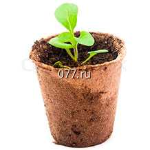 горшок (горшочек) торфяной