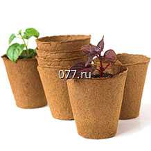горшок (горшочек) торфяной