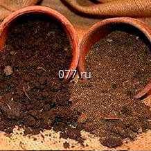 грунт (земля, почва) для растений для комнатных растений, рассады