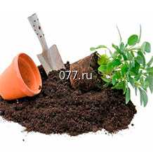 грунт (земля, почва) для растений для рассады