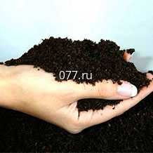 грунт (земля, почва) для растений для цветов и различных культур