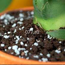 грунт (земля, почва) для растений для комнатных растений, рассады