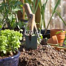 грунт (земля, почва) для растений для комнатных растений, рассады