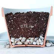 грунт (земля, почва) для растений для комнатных растений, рассады