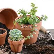 грунт (земля, почва) для растений для комнатных растений, рассады