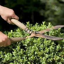 SPILPROF (Спилпроф)