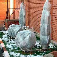 подготовка растений к зиме