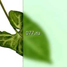 стекло листовое оконное матовое 4 мм (мателюкс)