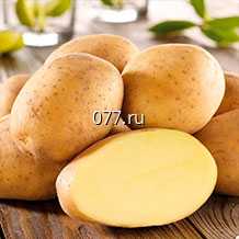 картофель семенной (посевной) Лорх, Петрович, Любава, Весна, Василек, Беллороза, Колетта, Винета, Колобок, Чародей, Инесса, Фиолетик