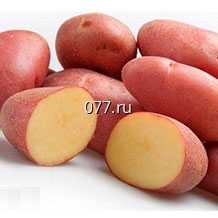 картофель семенной (посевной)