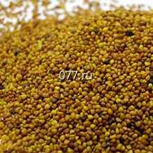 семена клевера белый Клондайк