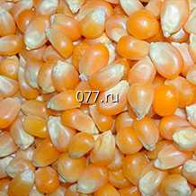 семена кукурузы Тройная сладость сахарная