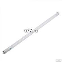 лампа люминесцентная (дневного света)