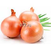 лук-севок (посевной, семенной) Стардаст белый Голландия