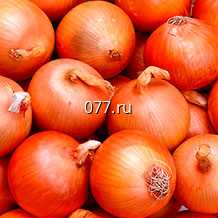 лук-севок (посевной, семенной) Кармен, круглый красный