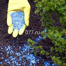 удобрение (витамины, подкормка) селитра аммиачная, азофоска