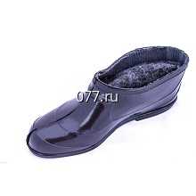 галоши (калоши)