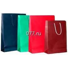 пакет с логотипом-изготовление на заказ бумажный с логотипом 430*170(90) *70