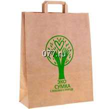 пакет с логотипом-изготовление на заказ с ручками, экологический биоразлагаемый