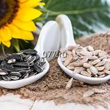 семена подсолнечника Пионер (PIONEER)