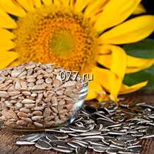 семена подсолнечника Лимагрейн (LIMAGRAIN)