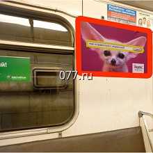 автотранспорт-размещение рекламы (внутрисалонная реклама)