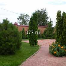 озеленение территории