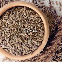 семена ржи (рожь) Экофермер