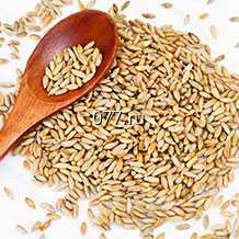 семена ржи (рожь) Всем на пользу