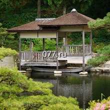 сад японский-устройство