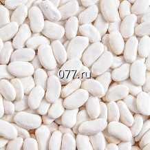 семена фасоли Фиеста, раннеспелая