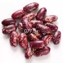 семена фасоли