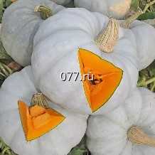 семена тыквы Сдобная пышка