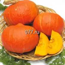 семена тыквы Лесной орех