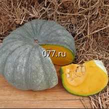 семена тыквы