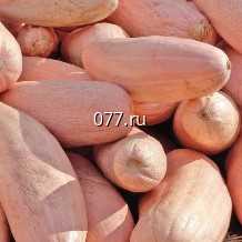 семена тыквы Розовый банан