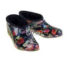 галоши (калоши)